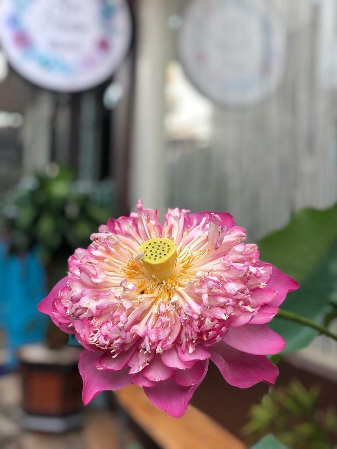 安宁酒店 邦美蜀 外观 照片